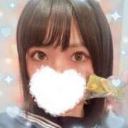 ヒメ日記 2024/12/12 06:27 投稿 つばき エデンR