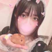 ヒメ日記 2025/03/01 14:47 投稿 つばき エデンR