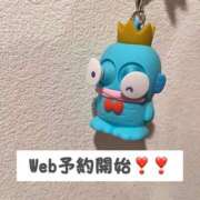 ヒメ日記 2025/03/13 02:07 投稿 つばき エデンR