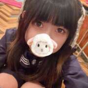 ヒメ日記 2025/03/24 07:37 投稿 つばき エデンR