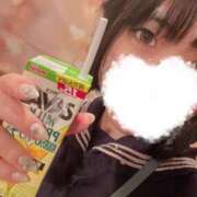 ヒメ日記 2025/03/30 08:59 投稿 つばき エデンR