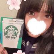 ヒメ日記 2025/04/06 10:07 投稿 つばき エデンR