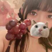 ヒメ日記 2025/04/08 02:17 投稿 つばき エデンR