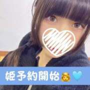 ヒメ日記 2025/04/13 02:57 投稿 つばき エデンR