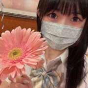 ヒメ日記 2025/04/22 10:33 投稿 つばき エデンR