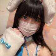 ヒメ日記 2025/05/16 12:07 投稿 つばき エデンR