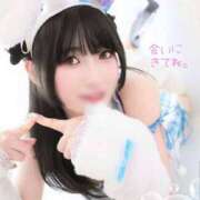 ヒメ日記 2025/06/09 20:06 投稿 つばき エデンR