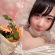 ヒメ日記 2025/06/18 08:35 投稿 つばき エデンR