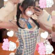 ヒメ日記 2025/07/15 08:58 投稿 つばき エデンR