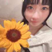 ヒメ日記 2025/07/19 21:27 投稿 つばき エデンR