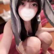 ヒメ日記 2026/03/17 17:29 投稿 つばき エデンR