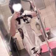 ヒメ日記 2026/04/16 12:09 投稿 つばき エデンR