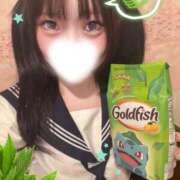 つばき 種 エデンR