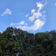 ヒメ日記 2025/04/28 09:17 投稿 みりや clubさくら難波店