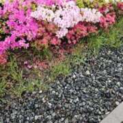 ヒメ日記 2025/05/09 19:07 投稿 みりや clubさくら難波店