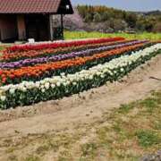 ヒメ日記 2025/05/23 19:07 投稿 みりや clubさくら難波店