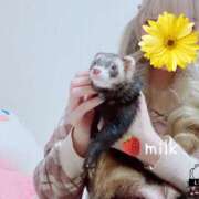 ヒメ日記 2024/12/19 10:29 投稿 苺みるく/爆乳 ギャルズネットワーク大阪