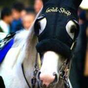 ヒメ日記 2024/12/22 17:09 投稿 苺みるく/爆乳 ギャルズネットワーク大阪