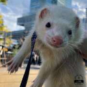 ヒメ日記 2025/01/29 09:39 投稿 苺みるく/爆乳 ギャルズネットワーク大阪