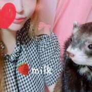 ヒメ日記 2025/07/31 22:55 投稿 苺みるく/爆乳 ギャルズネットワーク大阪