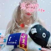 ヒメ日記 2026/02/14 00:03 投稿 苺みるく/爆乳 ギャルズネットワーク大阪