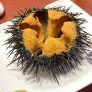 ヒメ日記 2025/10/08 12:00 投稿 しおん EXE（エグゼ）