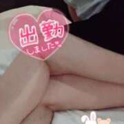 ヒメ日記 2025/09/04 19:31 投稿 岡崎　ふうか NADIA神戸店