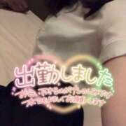 ヒメ日記 2025/09/17 19:24 投稿 岡崎　ふうか NADIA神戸店