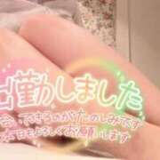 岡崎 ふうか 出勤しました♡ NADIA神戸店