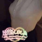 ヒメ日記 2025/12/29 11:31 投稿 岡崎　ふうか NADIA神戸店