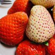 ヒメ日記 2025/03/31 16:41 投稿 富田 MadameRest(マダムレスト)