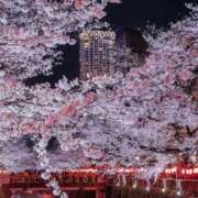 ヒメ日記 2025/04/11 18:15 投稿 富田 MadameRest(マダムレスト)