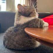 ヒメ日記 2025/06/07 05:34 投稿 富田 MadameRest(マダムレスト)