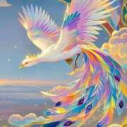 ヒメ日記 2025/06/29 17:56 投稿 富田 MadameRest(マダムレスト)