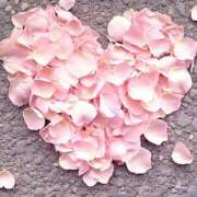 ヒメ日記 2025/07/02 01:32 投稿 富田 MadameRest(マダムレスト)