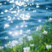 ヒメ日記 2025/07/09 16:17 投稿 富田 MadameRest(マダムレスト)