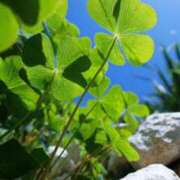 ヒメ日記 2025/07/17 16:36 投稿 富田 MadameRest(マダムレスト)