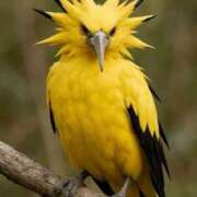 ヒメ日記 2025/07/22 04:16 投稿 富田 MadameRest(マダムレスト)