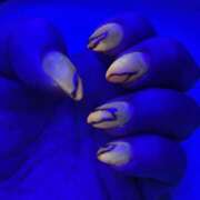 ヒメ日記 2025/07/30 21:39 投稿 富田 MadameRest(マダムレスト)