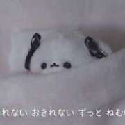 ヒメ日記 2025/08/20 16:23 投稿 富田 MadameRest(マダムレスト)