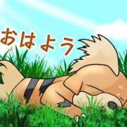 ヒメ日記 2025/09/07 16:16 投稿 富田 MadameRest(マダムレスト)