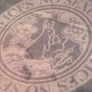 ヒメ日記 2025/11/22 04:30 投稿 富田 MadameRest(マダムレスト)