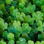 ヒメ日記 2026/01/24 11:29 投稿 富田 MadameRest(マダムレスト)