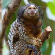 ヒメ日記 2026/02/19 07:34 投稿 富田 MadameRest(マダムレスト)