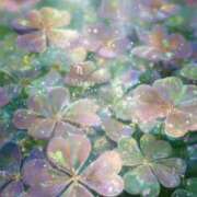 ヒメ日記 2026/02/26 16:23 投稿 富田 MadameRest(マダムレスト)