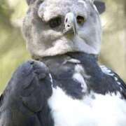 ヒメ日記 2026/02/27 05:56 投稿 富田 MadameRest(マダムレスト)