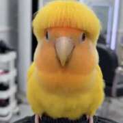 ヒメ日記 2026/03/18 16:31 投稿 富田 MadameRest(マダムレスト)