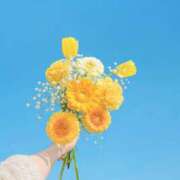 ヒメ日記 2026/03/19 15:24 投稿 富田 MadameRest(マダムレスト)