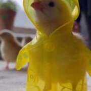 ヒメ日記 2026/03/25 18:33 投稿 富田 MadameRest(マダムレスト)