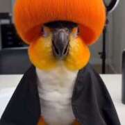 ヒメ日記 2026/03/27 04:55 投稿 富田 MadameRest(マダムレスト)